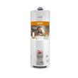 TERMOTANQUE SAIAR 80 LTS MULTIGAS