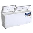 FREEZER BRIKET FR7000 TRIAL HORIZONTAL 700 LTS DOBLE PUERTAS BLANCO